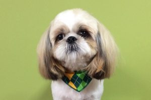 2月のお友達☆