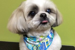 2月のお友達☆