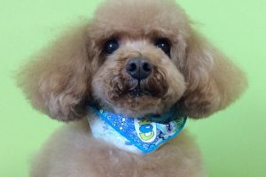 2月のお友達☆
