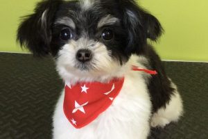 2月のお友達☆