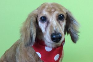 2月のお友達☆