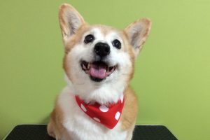 2月のお友達☆
