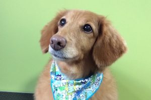 2月のお友達☆