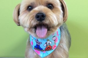 ３月のお友達☆