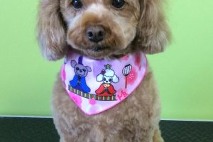 ３月のお友達☆