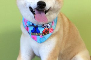 ３月のお友達☆