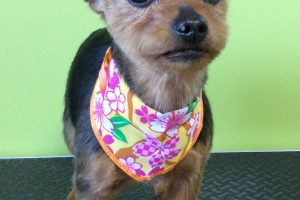 ３月のお友達☆