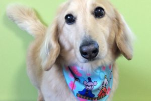 ３月のお友達☆