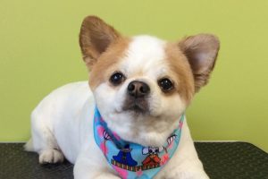 ３月のお友達☆