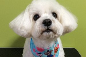 ３月のお友達☆