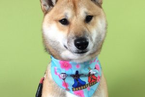 ３月のお友達☆