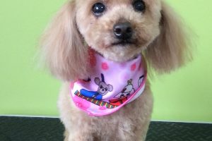 ３月のお友達☆