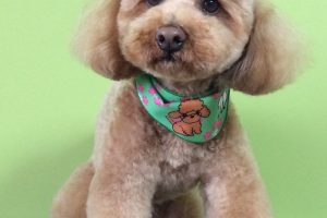 ３月のお友達☆