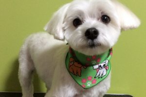 ３月のお友達☆