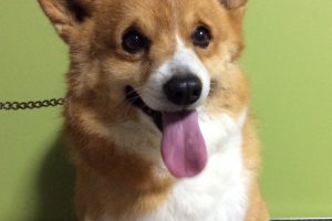 ３月のお友達☆