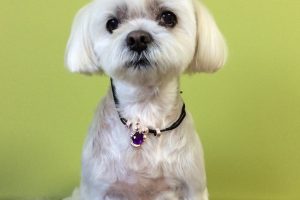 ３月のお友達☆