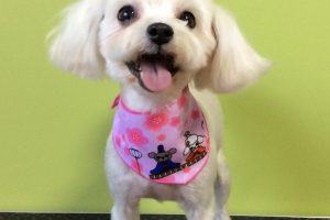 ３月のお友達☆