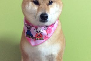 ３月のお友達☆