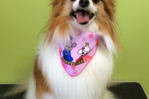 ３月のお友達☆