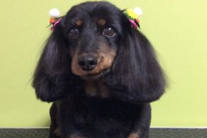 ３月のお友達☆