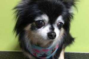 ３月のお友達☆