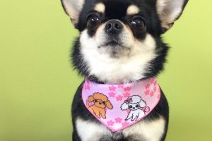 ３月のお友達☆