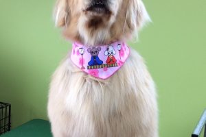 ３月のお友達☆