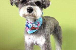 ３月のお友達☆