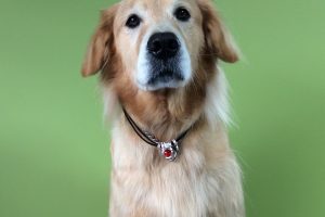 ３月のお友達☆