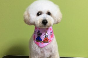 ３月のお友達☆