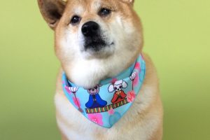 ３月のお友達☆