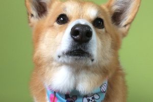 ３月のお友達☆