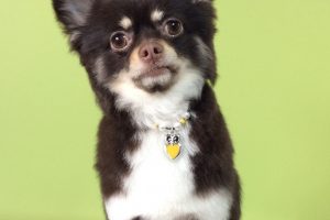 ３月のお友達☆