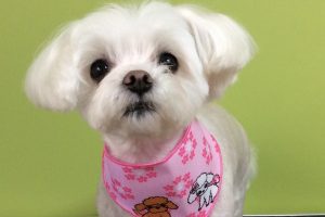 ３月のお友達☆