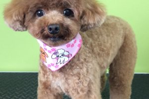 ３月のお友達☆