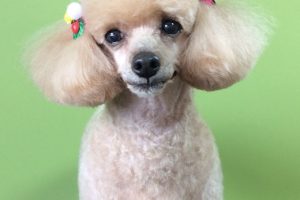 ３月のお友達☆