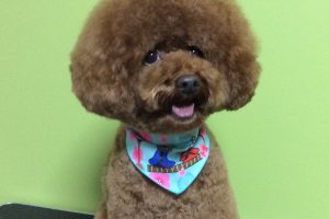 ３月のお友達☆