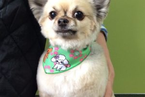 ３月のお友達☆