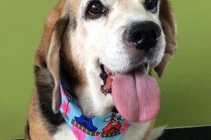 ３月のお友達☆