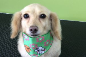 ３月のお友達☆