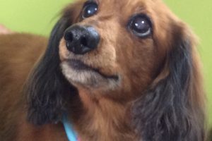 ３月のお友達☆