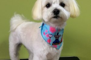 ３月のお友達☆