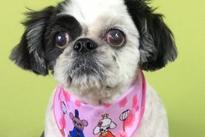 ３月のお友達☆