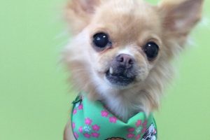 ３月のお友達☆