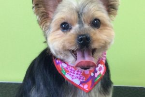 ３月のお友達☆