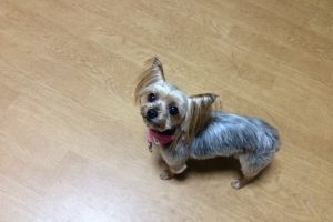 4月のお友達☆&お泊り☆