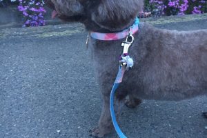 5月のお友達&お泊り☆