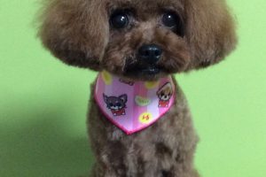 ７月のお友達☆