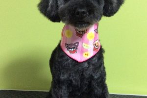 ７月のお友達☆