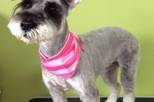 ７月のお友達☆